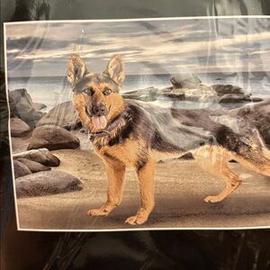 Super Soft Blanket with German Shepherd Design